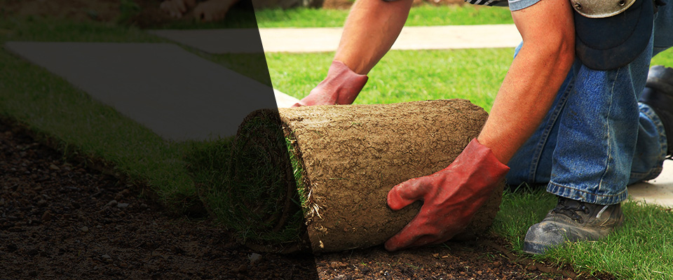 Staatsburg Landscapers